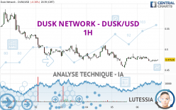 DUSK NETWORK - DUSK/USD - 1H