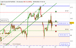 WTI CRUDE OIL - 30 min.