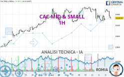 CAC MID & SMALL - 1 uur