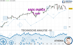 AMX-INDEX - 1 uur