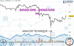 DOGECOIN - DOGE/USD - 1 uur