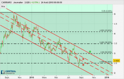 CARRARO - Daily