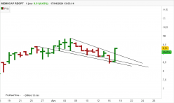 MEMSCAP REGPT - Daily