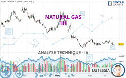 NATURAL GAS - 1 uur