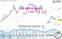 CAC MID & SMALL - 1 Std.