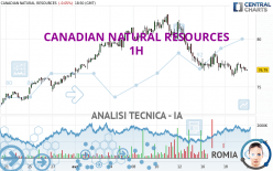 CANADIAN NATURAL RESOURCES - 1 Std.