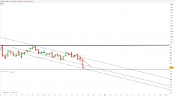 NVIDIA CORP. - Daily