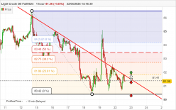 WTI CRUDE OIL - 1 Std.