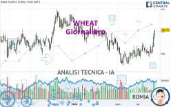 WHEAT - Daily