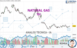 NATURAL GAS - 1 uur