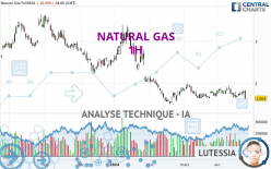 NATURAL GAS - 1 Std.