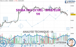 SHIBA INU (X100) - SHIB/EUR - 1 Std.