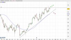 SENIOR ORD 10P - Weekly