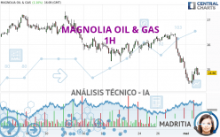 MAGNOLIA OIL & GAS - 1H