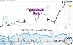 SYNERGIE - Daily