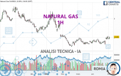NATURAL GAS - 1 Std.