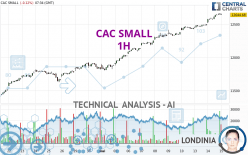 CAC SMALL - 1 uur