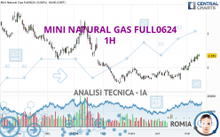 MINI NATURAL GAS FULL0624 - 1H