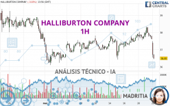 HALLIBURTON COMPANY - 1 Std.