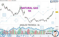 NATURAL GAS - 1 Std.