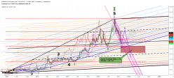 TRUPANION INC. - Weekly