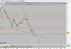 CARRARO - Daily