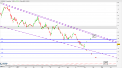 CARRARO - Daily