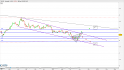 TALGO - Daily