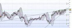 CATAMARAN - Daily