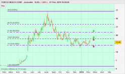 TURTLE BEACH CORP. - Journalier