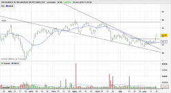 PROSHARES ULTRA NASDAQ BIOTECHNOLOGY - Journalier