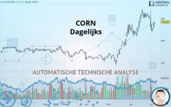 CORN - Dagelijks