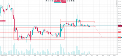 WTI CRUDE OIL - 1 Std.