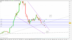 MEDIFAST INC - Semanal