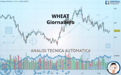 WHEAT - Daily