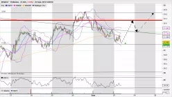 RENAULT - 15 min.