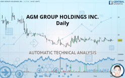 AGM GROUP HOLDINGS INC. - Daily