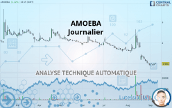 AMOEBA - Journalier