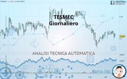 TESMEC - Giornaliero