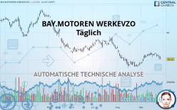 BAY.MOTOREN WERKEVZO - Journalier