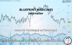 BLUEPRINT MEDICINES - Journalier