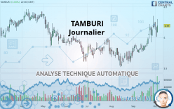 TAMBURI - Journalier