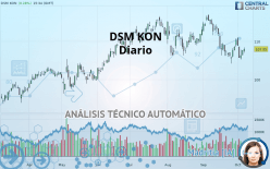 DSM KON - Journalier