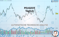 PEUGEOT - Journalier