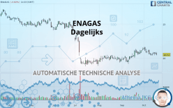 ENAGAS - Diario