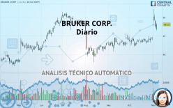 BRUKER CORP. - Diario