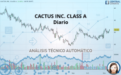 CACTUS INC. CLASS A - Diario