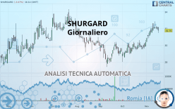 SHURGARD - Giornaliero