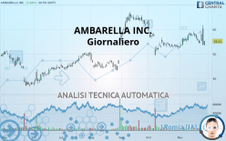 AMBARELLA INC. - Giornaliero