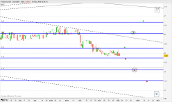 POULAILLON - Daily